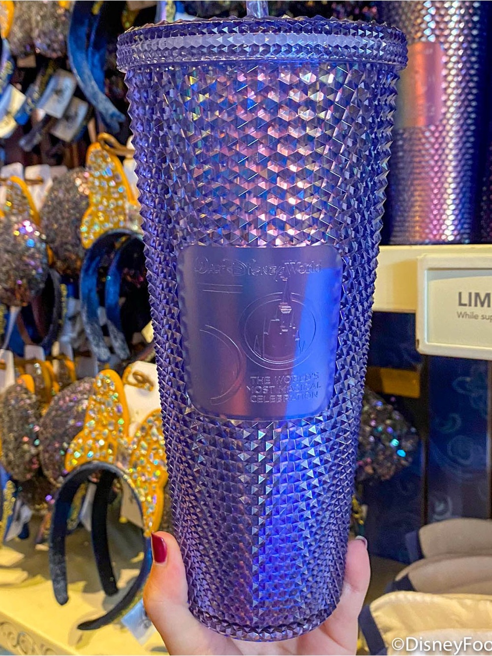 Disney Iridescent Purple Studded Tumbler